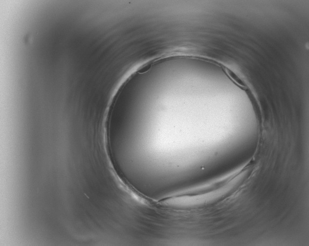 X0000063501341200602032007