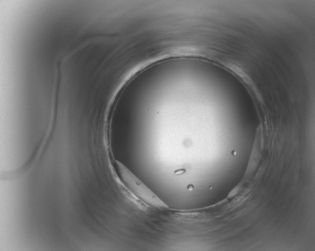 X0000063501342200602032007