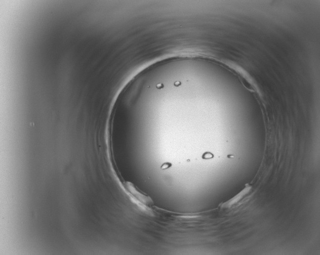 X0000063501343200602032007