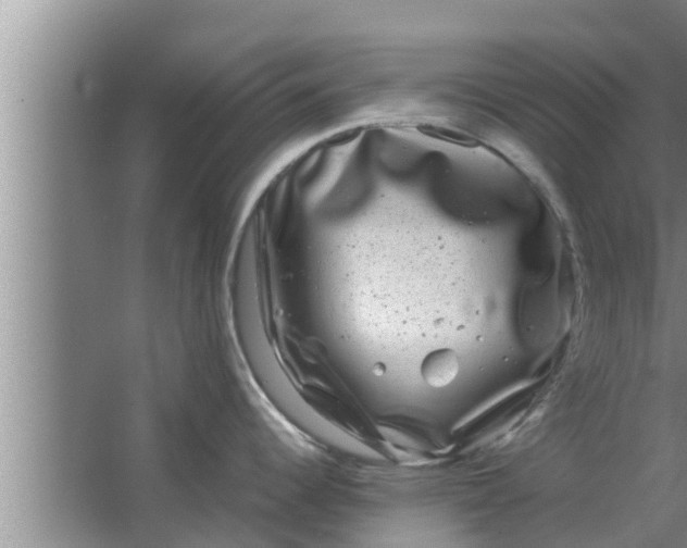 X0000063501344200602032007