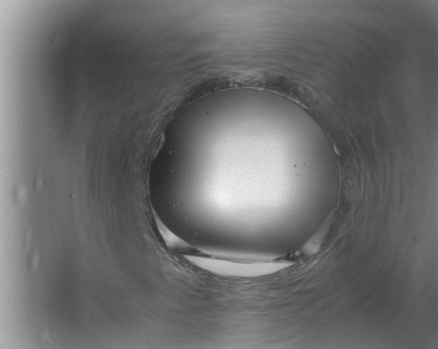 X0000063501345200602032007