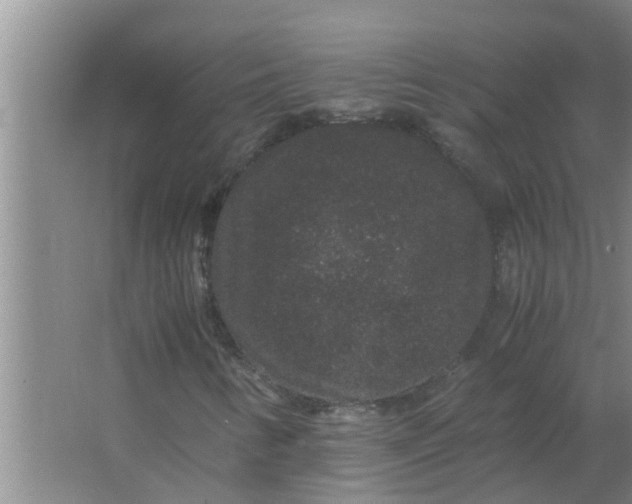 X0000063501346200602032007