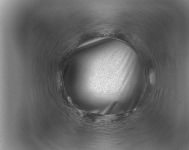 X0000063501347200602032007