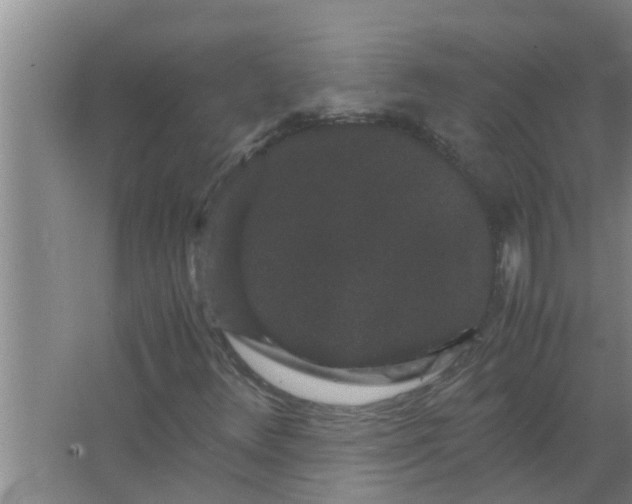 X0000063501348200602032007