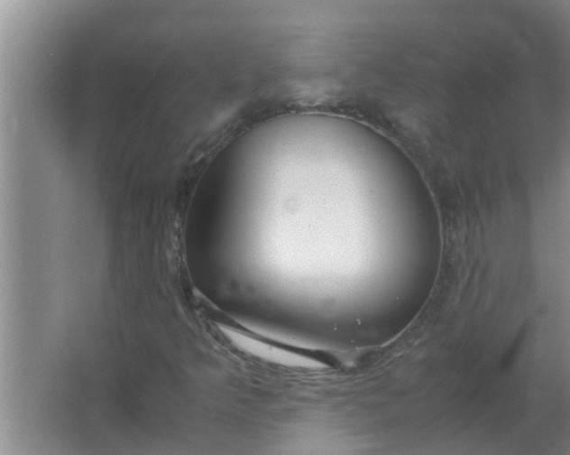 X0000063501349200602032007