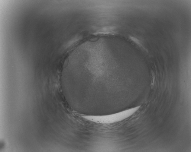 X0000063501350200602032007