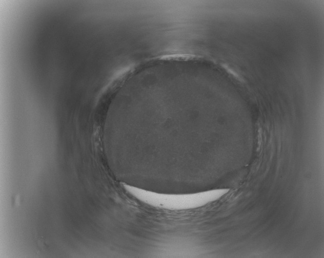 X0000063501351200602032007