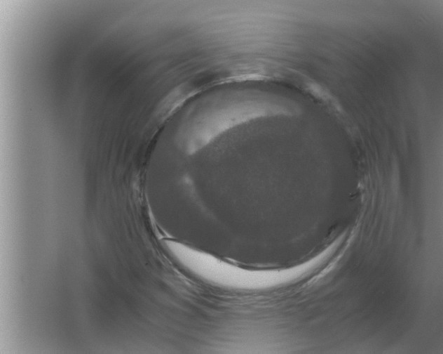 X0000063501353200602032007