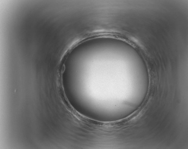 X0000063501357200602032006