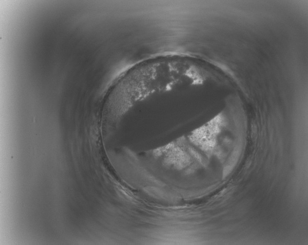 X0000063501359200602032006