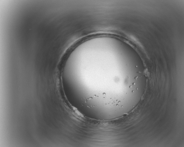 X0000063501360200602032006