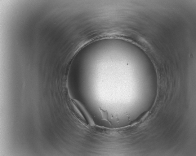 X0000063501361200602032006