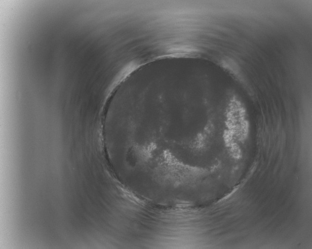 X0000063501362200602032006