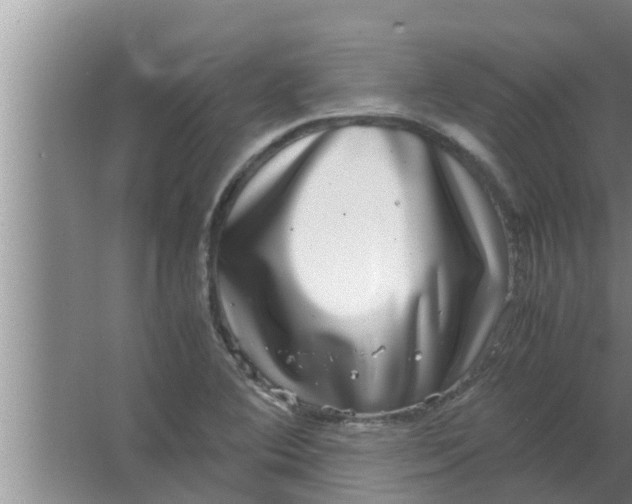 X0000063501364200602032006