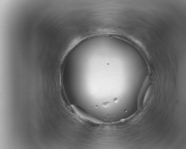 X0000063501365200602032006