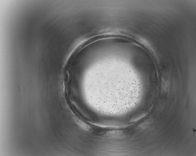 X0000063501368200602032006