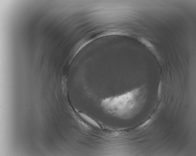 X0000063501369200602032006