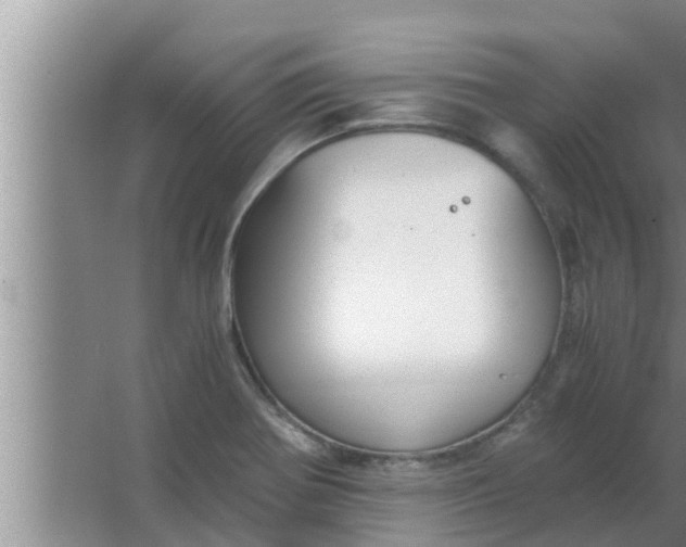 X0000063501370200602032006