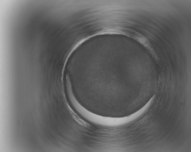 X0000063501372200602032006