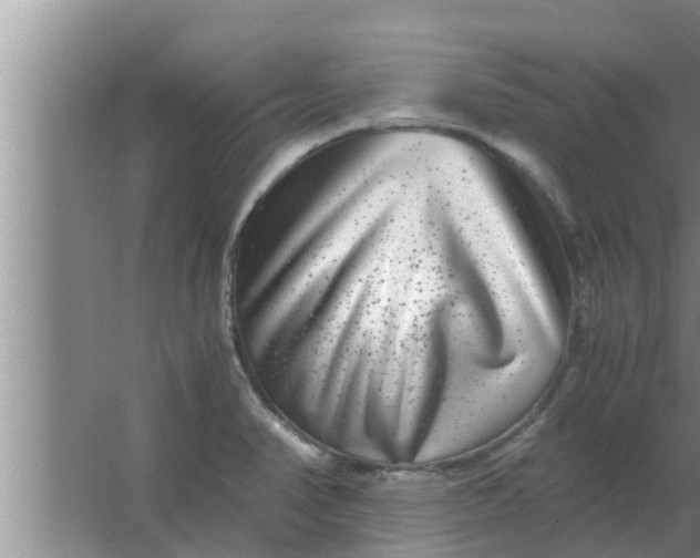 X0000063501374200602032006