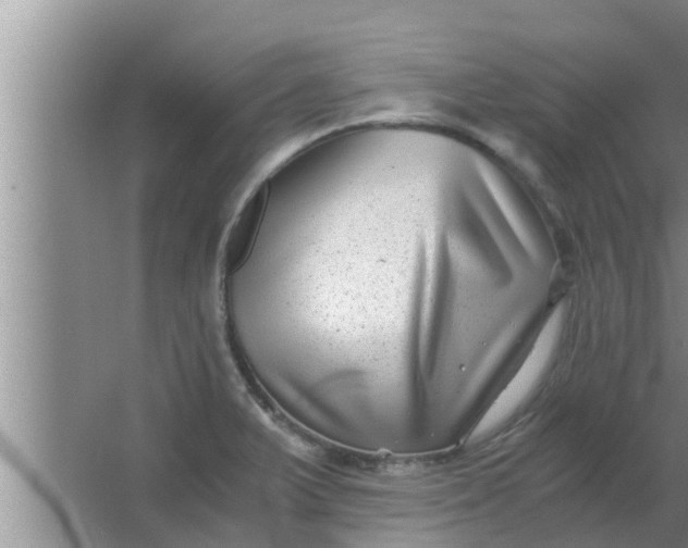 X0000063501375200602032006