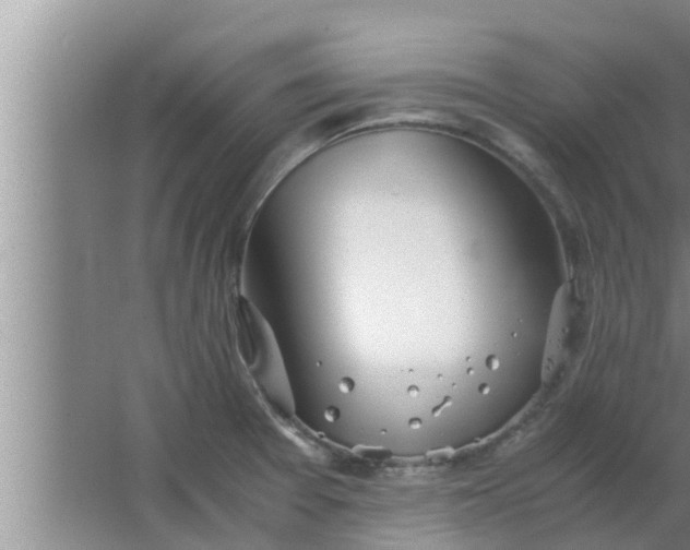 X0000063501377200602032006