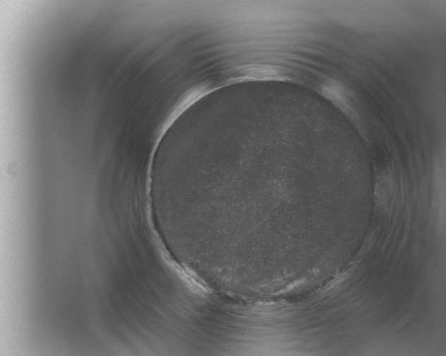 X0000063501378200602032006