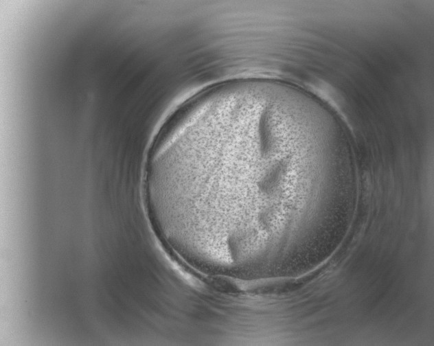 X0000063501379200602032006