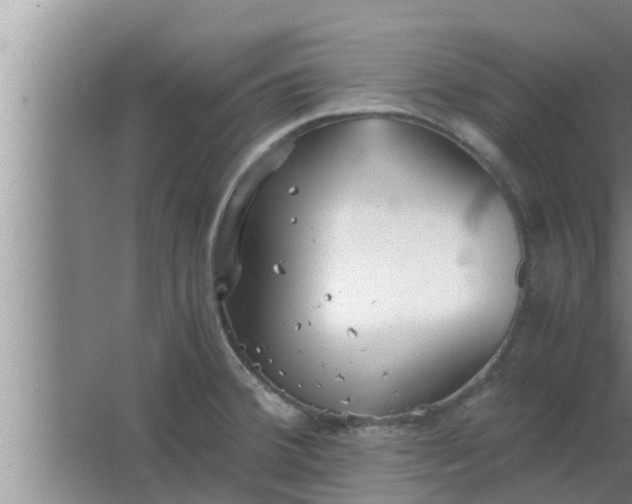 X0000063501380200602032006