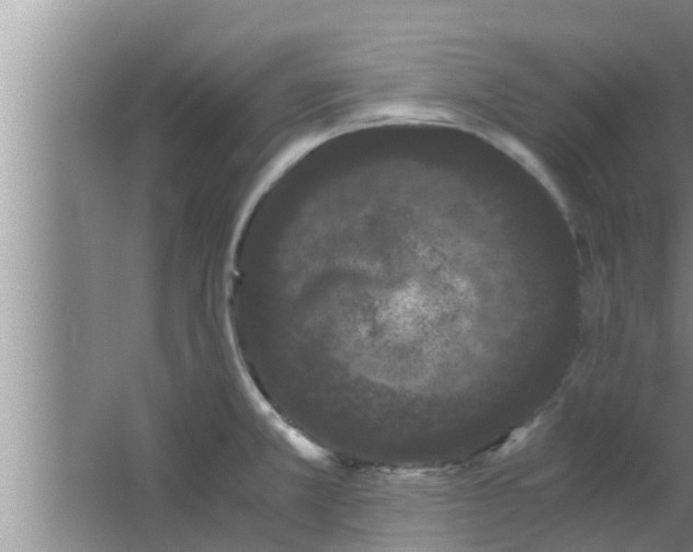 X0000063501381200602032006