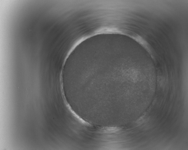 X0000063501382200602032006