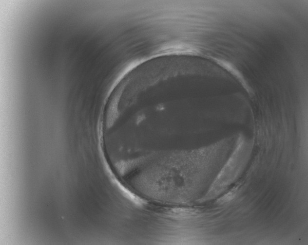 X0000063501383200602032006