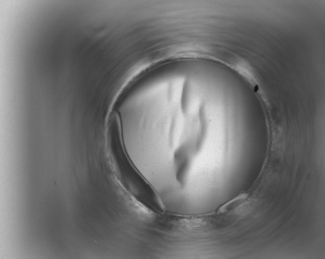 X0000063501384200602032006