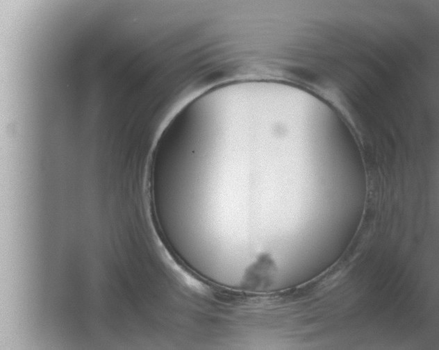 X0000063501387200602032006