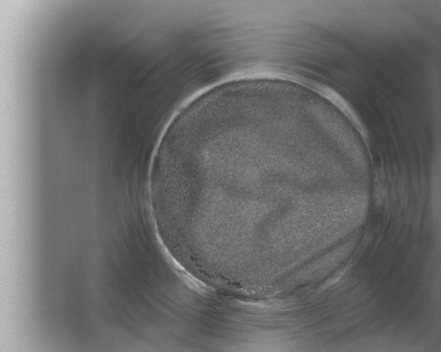 X0000063501388200602032006