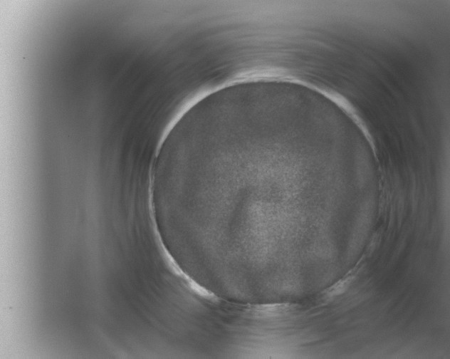 X0000063501390200602032006