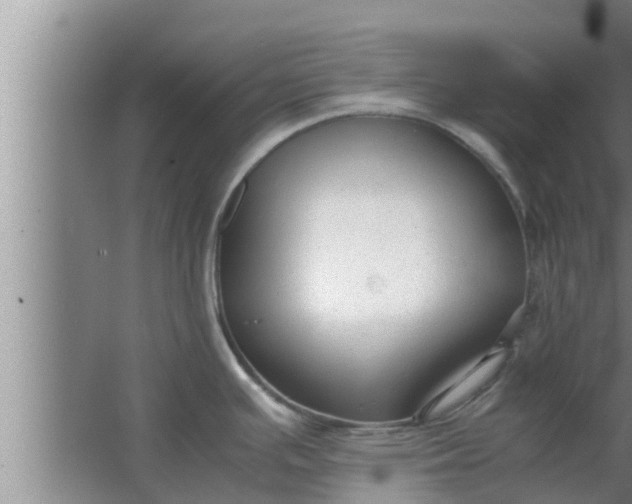 X0000063501391200602032006