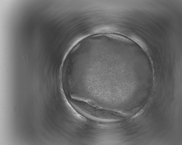 X0000063501392200602032006