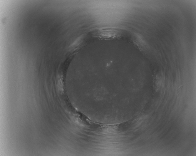 X0000063501394200602032005