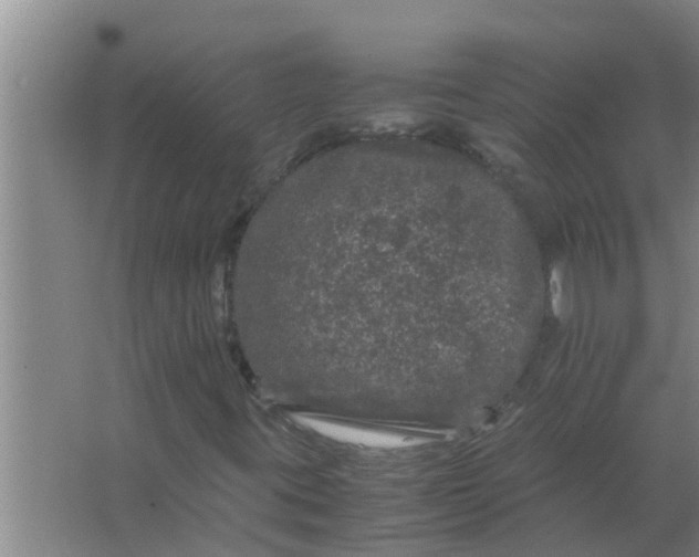 X0000063501395200602032005