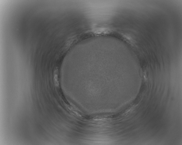 X0000063501396200602032005