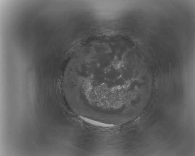 X0000063501397200602032005