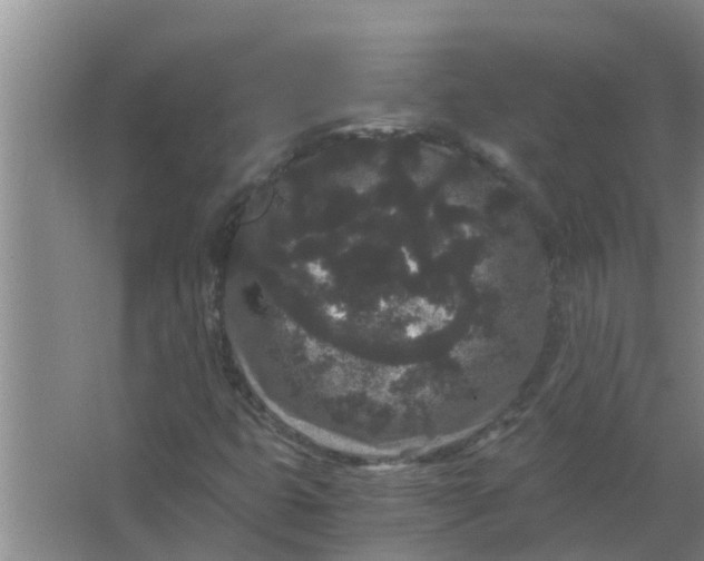 X0000063501399200602032005