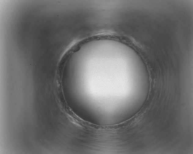 X0000063501400200602032005