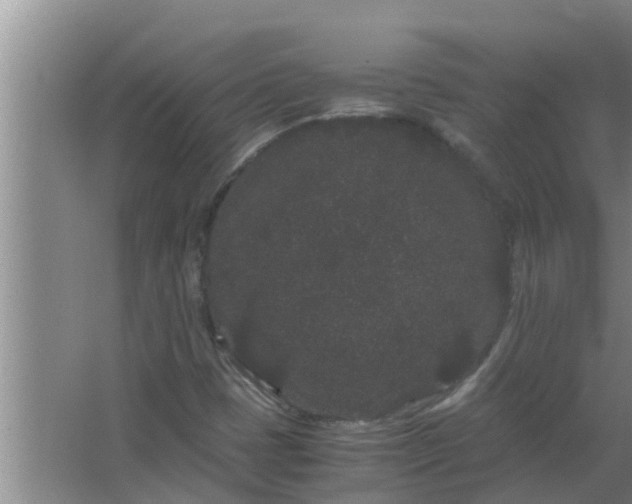 X0000063501401200602032005