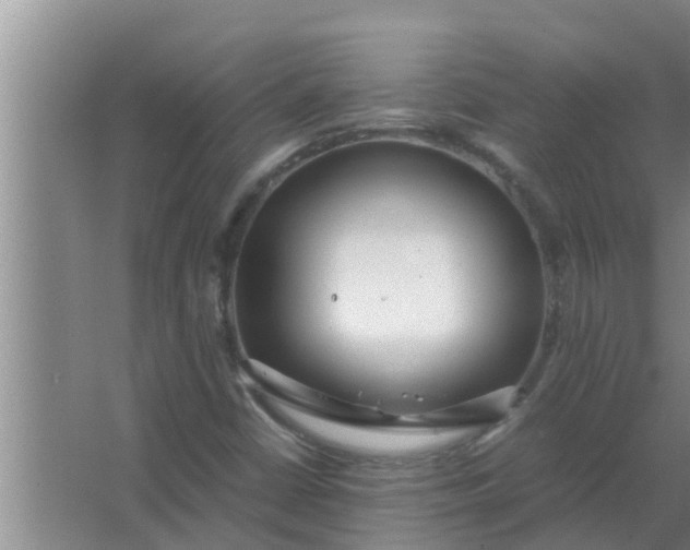 X0000063501402200602032005