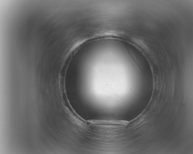 X0000063501404200602032005