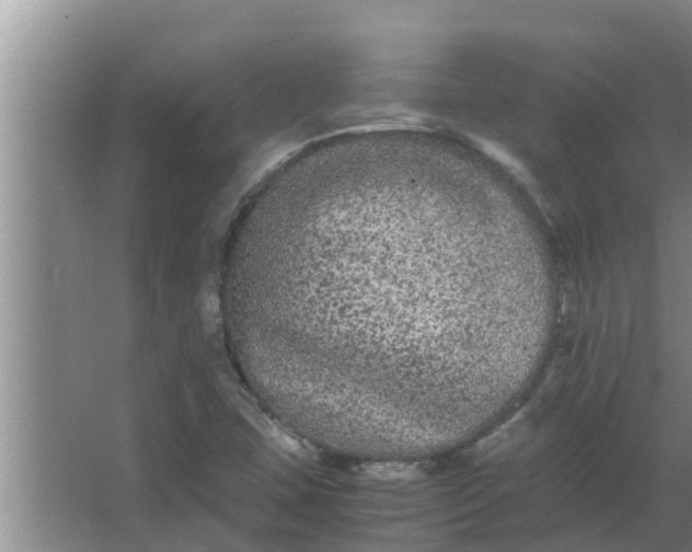 X0000063501407200602032005