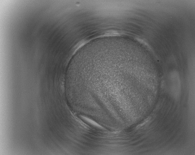 X0000063501409200602032005