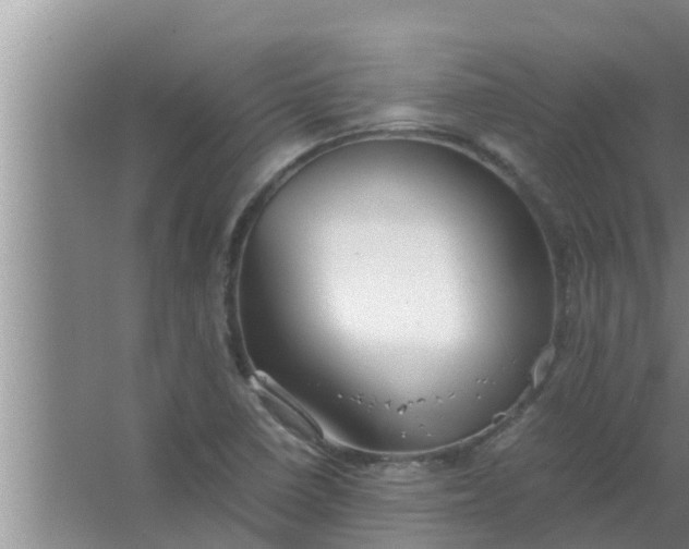 X0000063501410200602032005